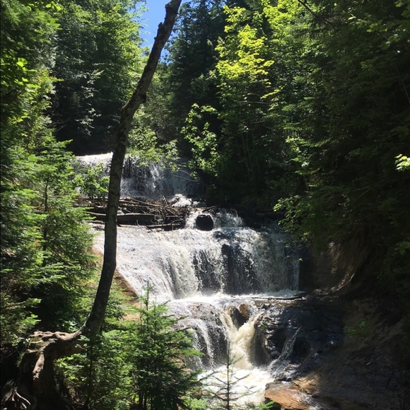 Meet your Posher, Alexandra - Picture 1 of 1